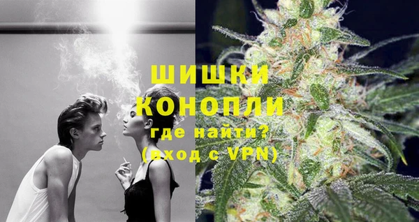 гидра Лихославль